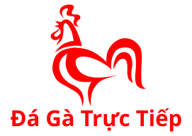 Da Ga Truc Tiep