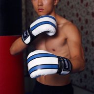 sportslandvn