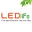 LEDliFeVietNam