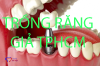 trong-rang-gia-tphcm.png