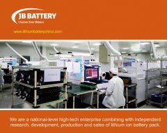 OEM Lithium Ion Battery
