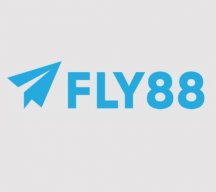 fly88vet