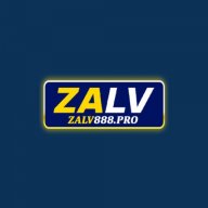 zalv888pro